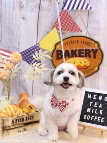 20240928もっぷちゃん